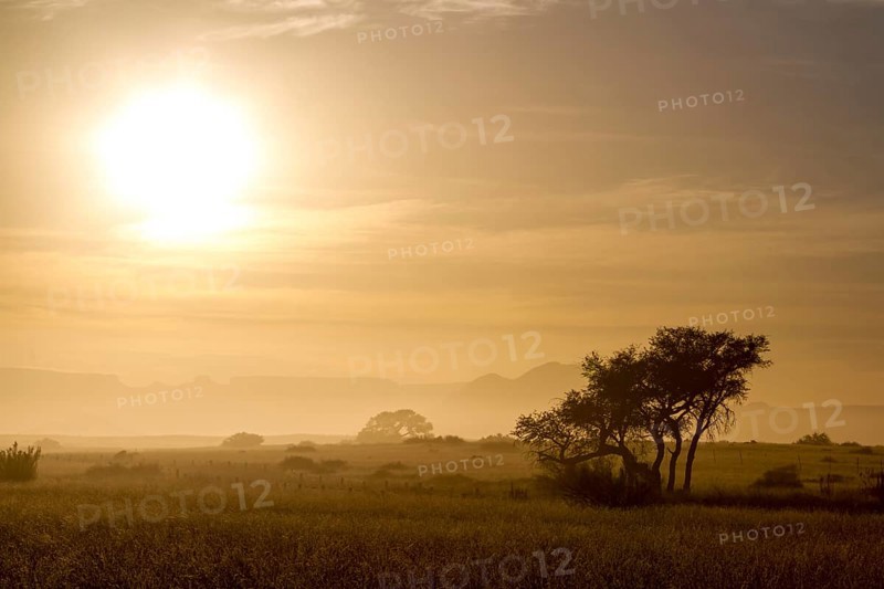 Landscape at sunrise, Namib Naukluft Park, Namibia, Africa
