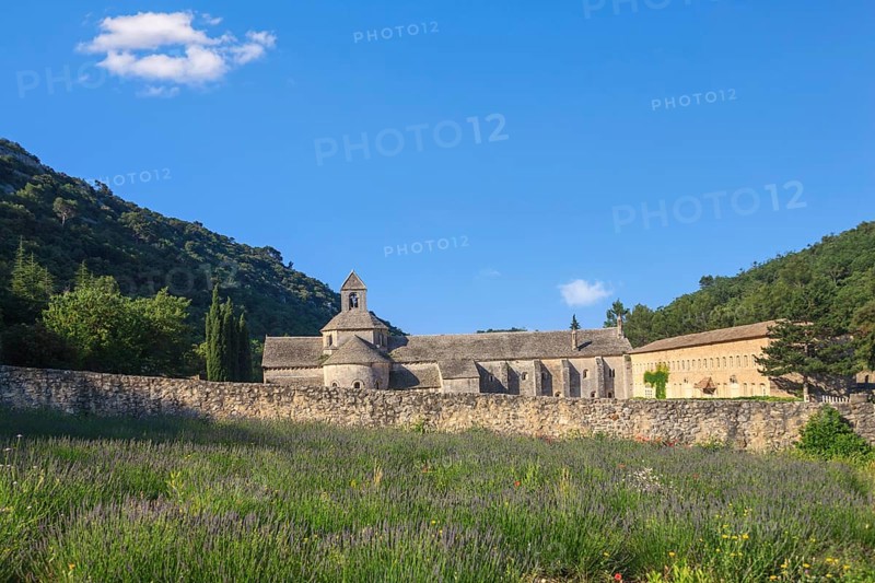 Abbey Notre-Dame de Sénanque, Sénanque Monastery, near Gordes, Provence, Provence-Alpes-Côte dAzur, Southern France, France, Europe