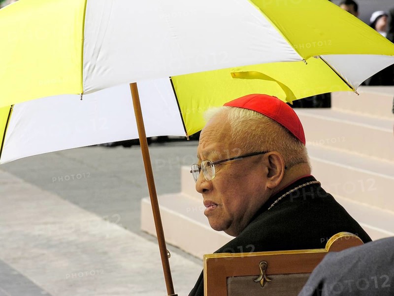 Ricardo Jamin Cardinal Vidal, First Papal Audience, Pope Benedict XVI, Ratzinger, 27. 04. 2005, Piazza San Pietro, St. Peter's Square, Vatican, Rome, Lazio, Italy, Europe