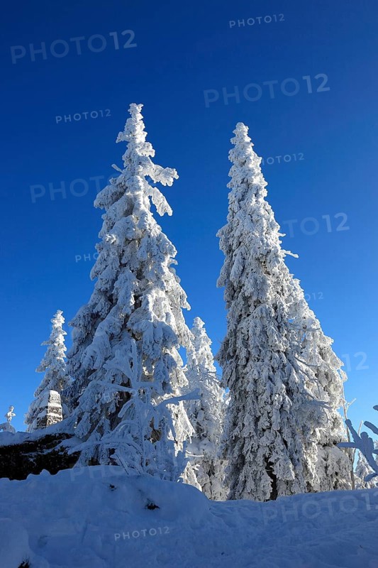 Winter landscape in the Fichtelgebirge, Bayreuth district, Upper Franconia, Bavaria, Germany, Europe