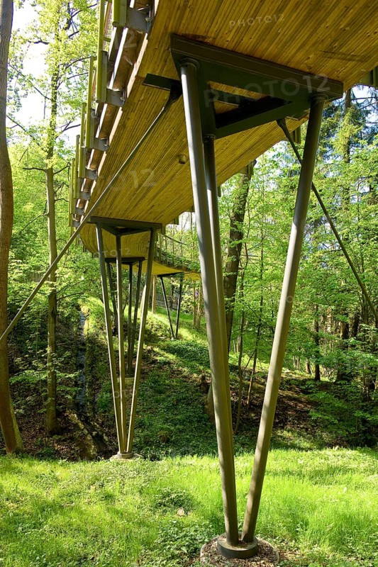 The Forest Botanical Garden Tharandt is an institution of the Technical University of Dresden and at the same time the Saxon State Arboretum. It houses single stem woody plants and has been greatly expanded since 1997 to include North American forest formations