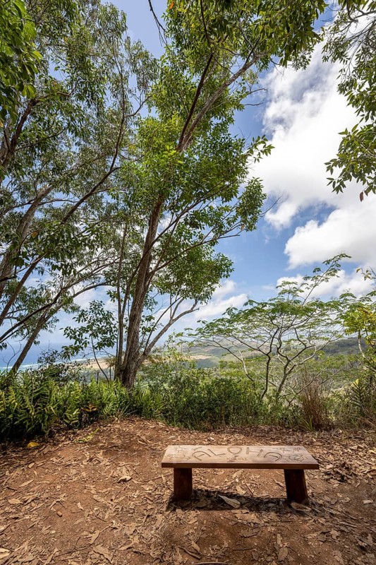 Bench with Aloha Symbol on Sleeping Giant (Nounou Mountain) East Trail, Kauai, Hawaii, USA, North America