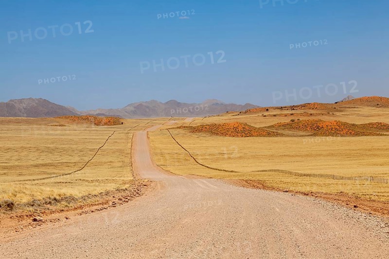 Gravel road C14, in the background the Tiras Mountains, Namibia, Africa