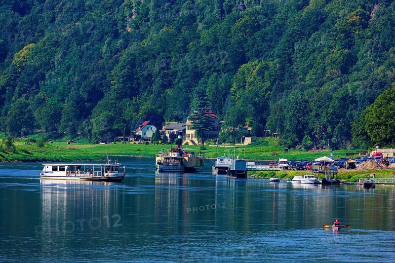 Elbe steamer Pirna in Wehlen