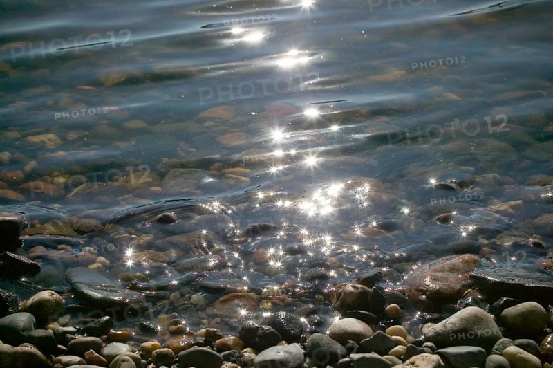 Elbe water, the water quality of the Elbe has improved significantly in recent years
