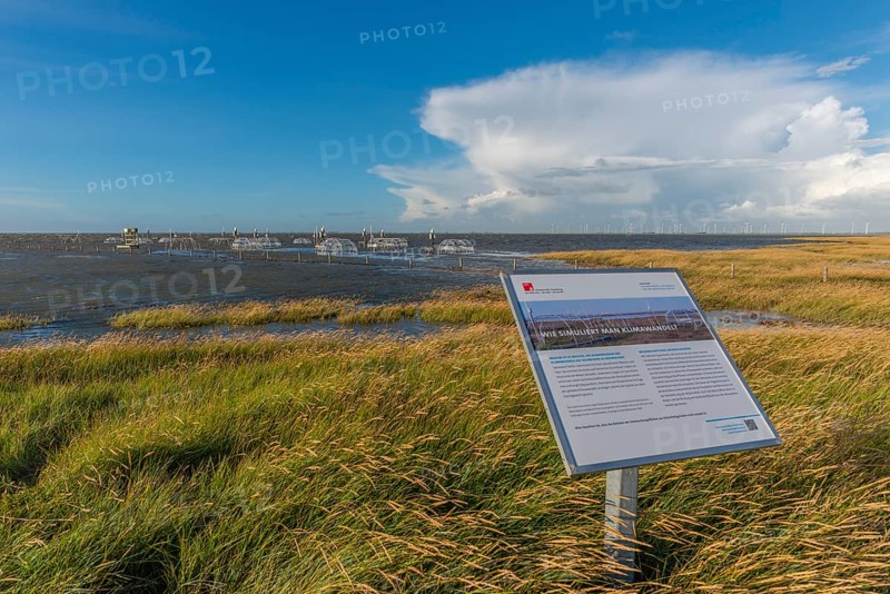 Flooded salt marshes at the Hamburger Hallig, University of Hamburg, Warming experiment, Warming domes, Wind turbines in the Reußenkögen, North Frisia, Schleswig-Holstein, Northern Germany, Germany, Europe