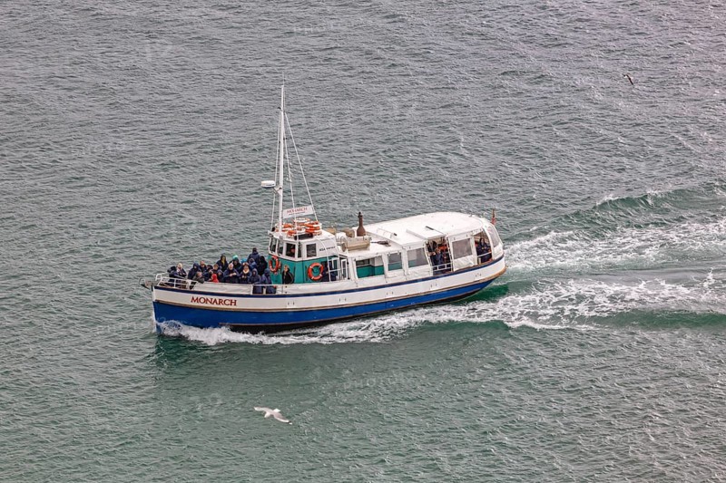 Boot, Taiaroa Head, Otago-Halbinsel, Neuseeland
