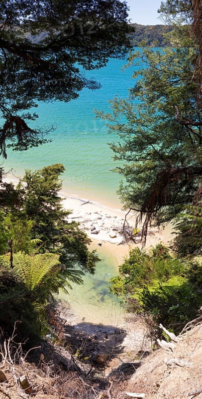 Abel Tasman Coast Track, Gilbert-Point, Kaiteriteri, New Zealand, Oceania