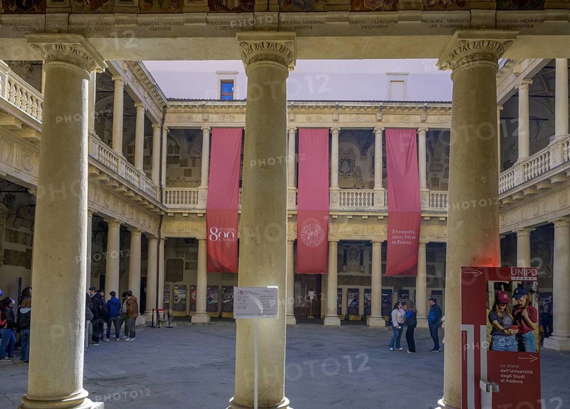 Courtyard of the University, Padua, Province of Padua, Italy, Europe