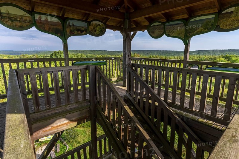 National Park Hainch with Observation Tower Hainichblick, Thüringen, Germany, Europe