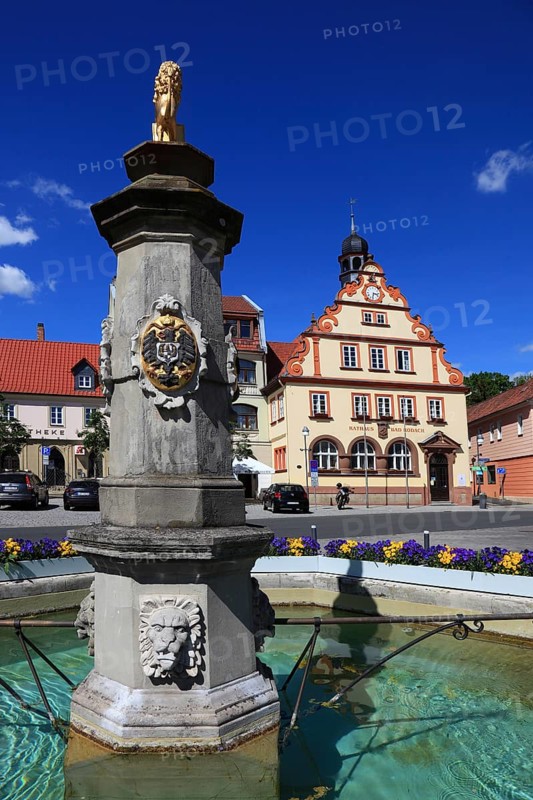 Town Hall and Market Fountain, Bad Rodach, Coburg County, Upper Franconia, Bavaria, Germany, Europe