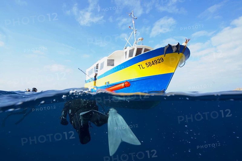 Diver swims back to the dive boat. Half and half shot. Dive site Giens Peninsula, Côte dAzur, France, Europe