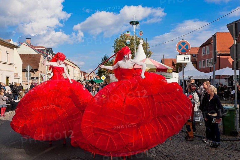 Autumn and wine festival in Altkötzschenbroda