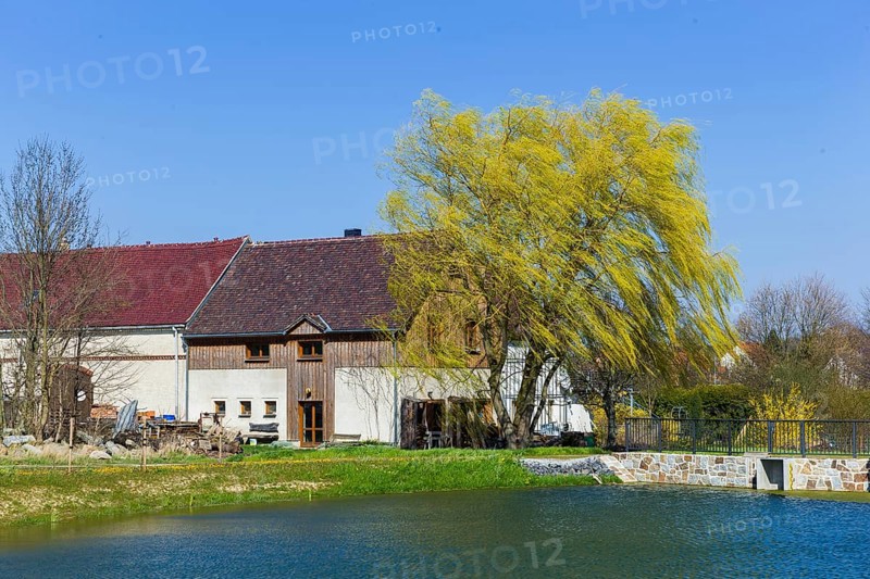 Village view of Nebelschütz in Lusatia
