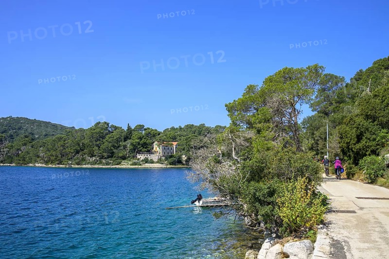 Beautiful cycle path along the lake, Mljet Island, Dubrovnik-Neretva County, Croatia, Europe