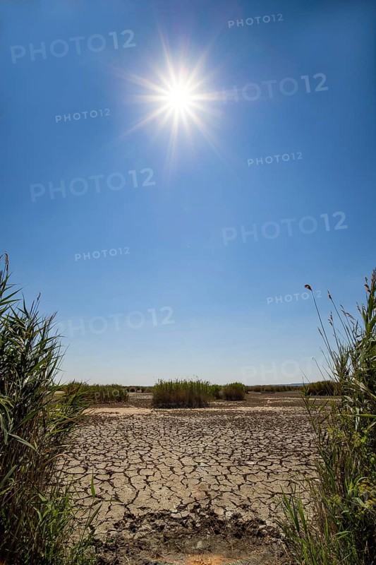 Heavily desiccated soil of Lake Neusiedl, Lake Neusiedl-Seewinkel National Park, Illmitz, Burgenland, Austria, Europe