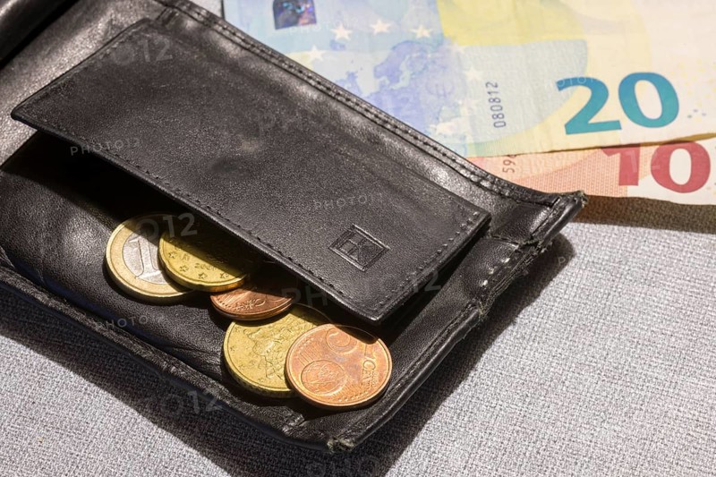 Wallet with coins and notes, euro, Germany, Europe