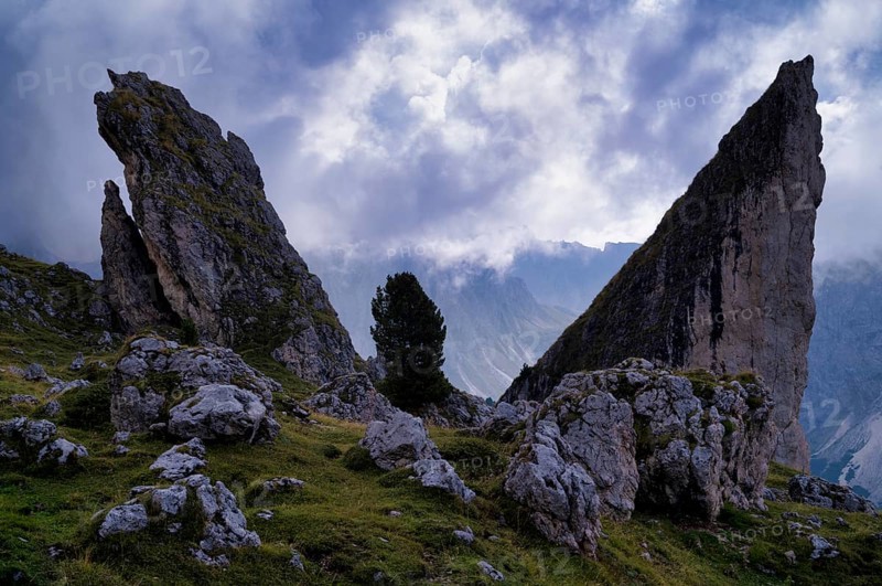 Malga-Alm below the Geisler peaks, Puez-Odle nature Park, Seceda, Val Gardena, Trentino, South Tyrol, Italy, Europe