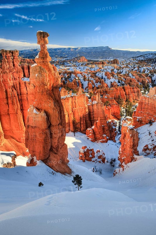 Bryce Canyon in winter, view from Sunset Point, limestone hoodoos, Bryce Canyon National Park, Utah, USA, North America