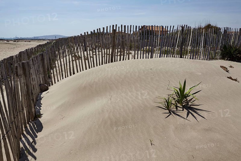 Protective fence to prevent erosion on the beach at Frontignan, Hérault, Occitania, France, Europe