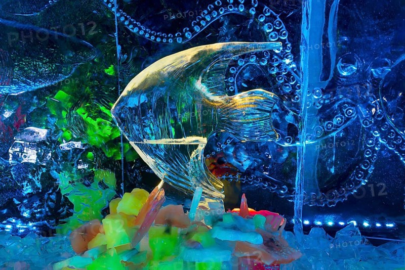 Fish in front of octopus, Ice Sculpture Festival, Zwolle, Province of Overijssel, Netherlands