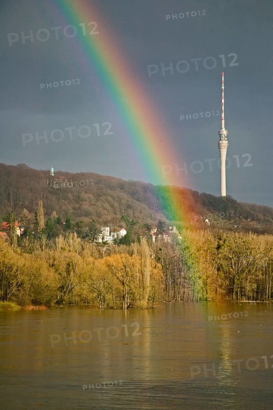 Elbe view from blauen Wunder