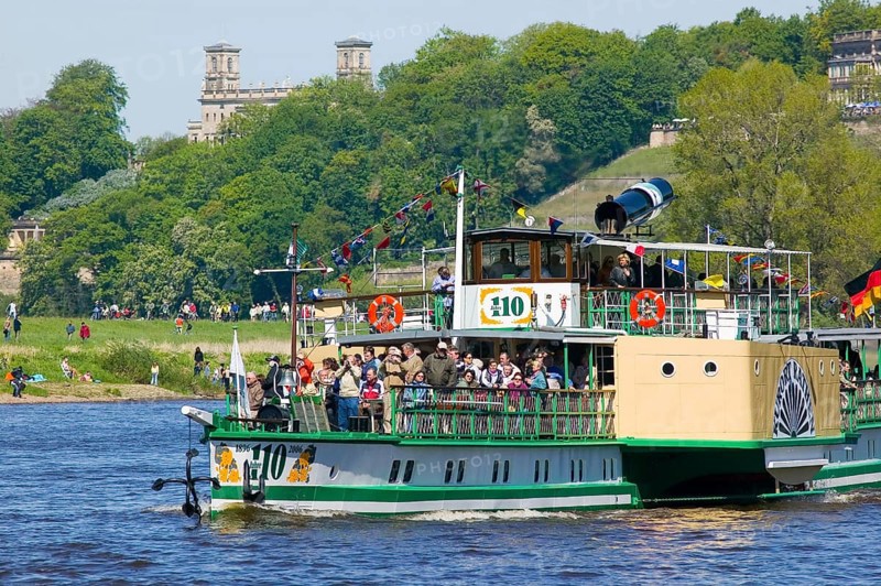 Steamboat parade on the Elbe