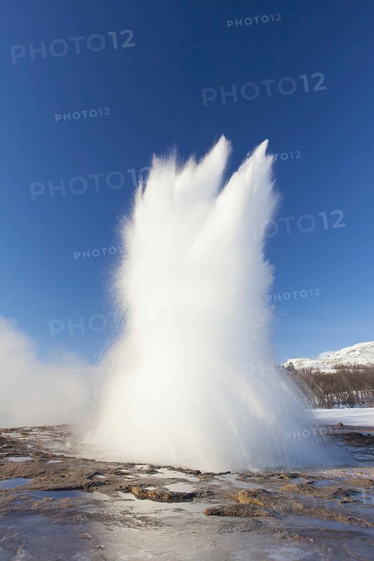 Eruption of Strokkur, fountain geyser in the geothermal area beside the Hvítá River in winter, Haukadalur, Sudurland, Iceland, Europe