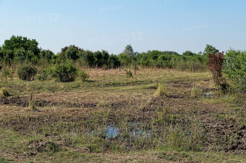 Puszta and steppe landscape in Hortobagy National Park, Hortobagy Nemzeti Park, UNESCO Biosphere Reserve. Hortobagy, Debrecen, Hungary, Southeast Europe, Europe