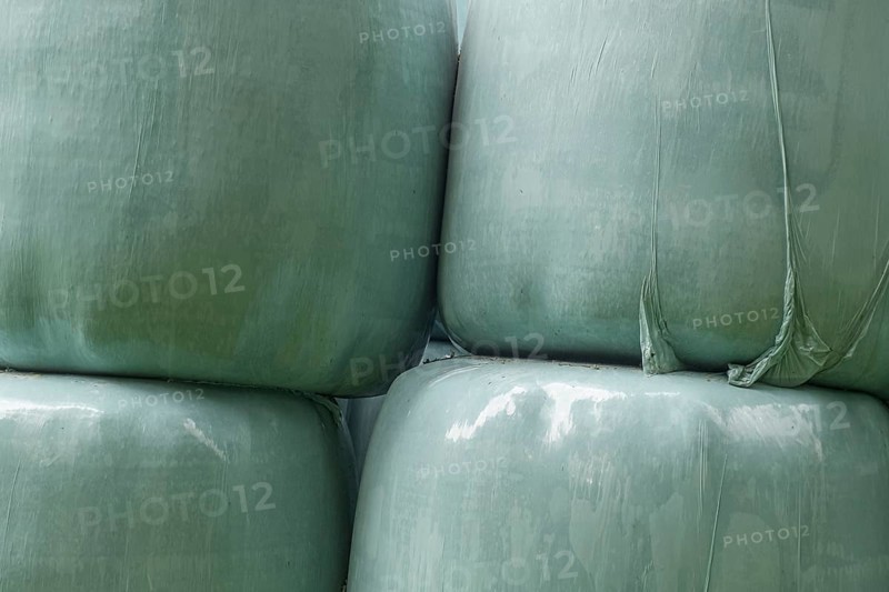 Silage, silage bales, silage bales in green plastic foil, Münsterland, North Rhine-Westphalia, Germany, Europe