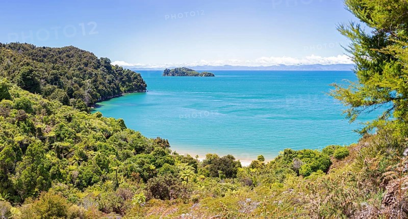 Abel Tasman Coast Track, Gilbert-Point, Kaiteriteri, New Zealand, Oceania