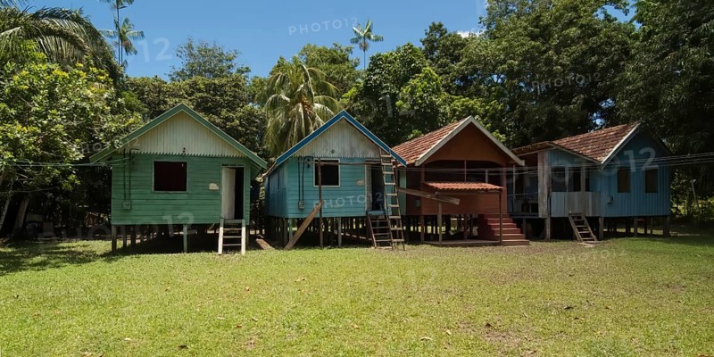 Traditional houses of a caboclos tribe along the (Amazona) river, Amazon state, Brazil, South America