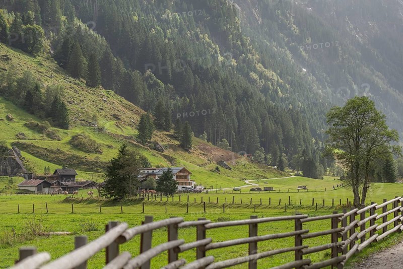 Hiking trail in Stilluptal, Gasthof Stilluper Haus, Stillupgrund, Mayrhofen, Zillertal Alps High Mountain nature park Park, agriculture, Alpine pastures, Tyrol, Austria, Europe