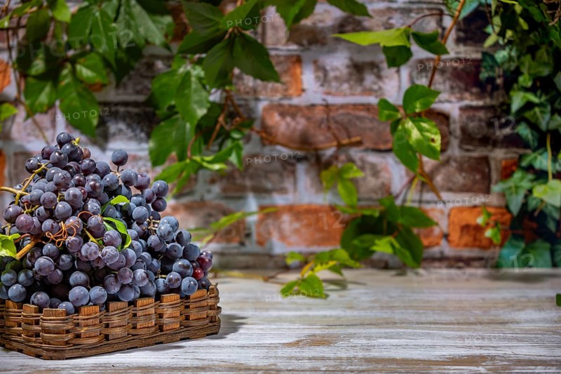 Blue burgundy grapes in baskets in front of brick wall with leaves, copying room