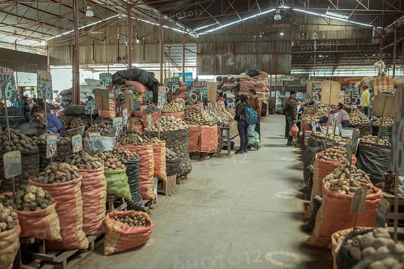 Market hall, potato variety, Mercado Mayorista, Huancayo, Peru, South America