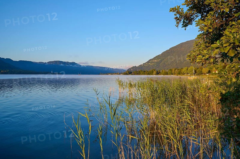 Lake shore, reeds, sunrise, summer, Steindorf am Lake Ossiach, Lake Ossiach, Carinthia, Austria, Europe
