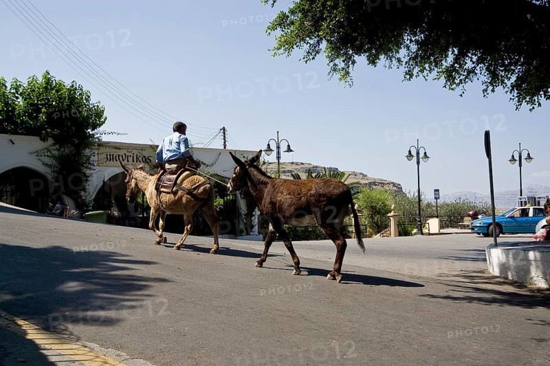 Rhodes Island, Lindos, Lindos is a town on the Greek island of Rhodes. Its landmark is the acropolis on a rock with huge archways from the 4th century and reliefs dating from around 280 B.C., donkeys