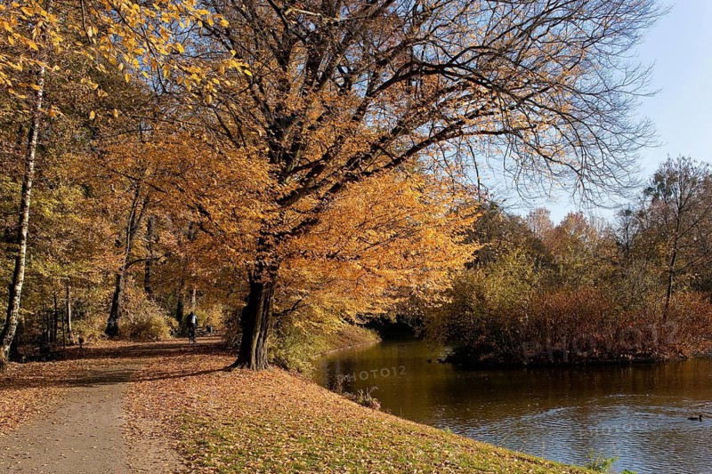 Carolasee The Great Garden was laid out from 1676 for the Elector Prince and later Elector Johann Georg III as a hunting garden with a star-shaped network of paths. From 1678, master builder Johann Georg Starcke built the palace in the Great Garden in coordination with the garden plans by Johann Friedrich Karcher