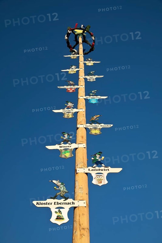 Maypole from the Heimat und Verschönerungsverein Cochem, Rhineland-Palatinate, Germany, Europe