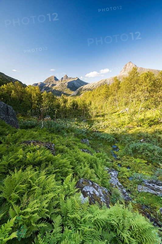 View of Østerdalen valley, Straumdalstinden mountain, Helgeland coast near Jekt, Rødøy, Nordland, Norway, Europe