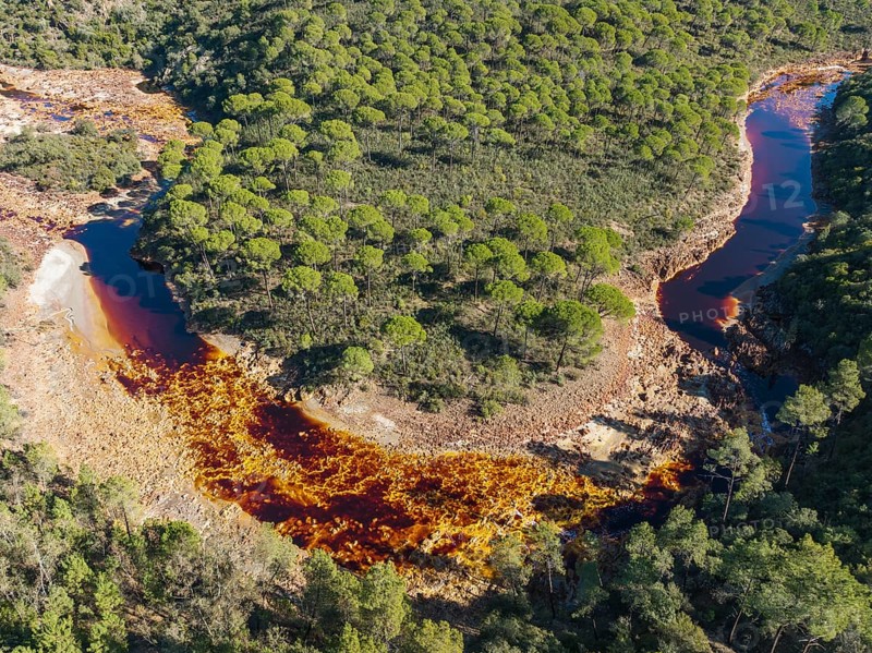 The Rio Tinto (Red river) flowing through a forest of Stone or Umbrella pines (Pinus pinea), its deep reddish hue is due to oxidised iron minerals in its water, aerial view, drone shot, Huelva province, Andalusia, Spain, Europe
