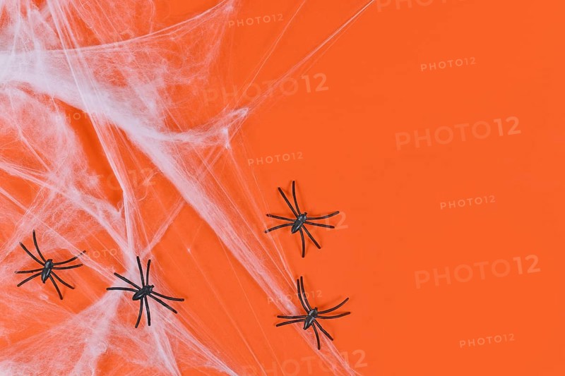 Cobweb and plastic spiders on side of orange Halloween background with empty copy space