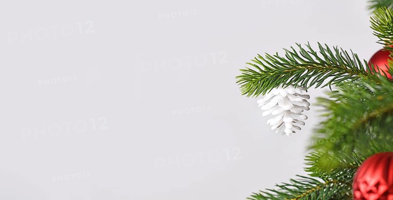 Christmas banner with white fir cone ornament on tree in front of gray background with copy space