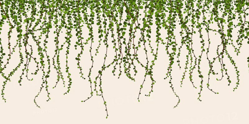 Green foliage wall vector illustration, climbing plant leaves seamless horizontal pattern