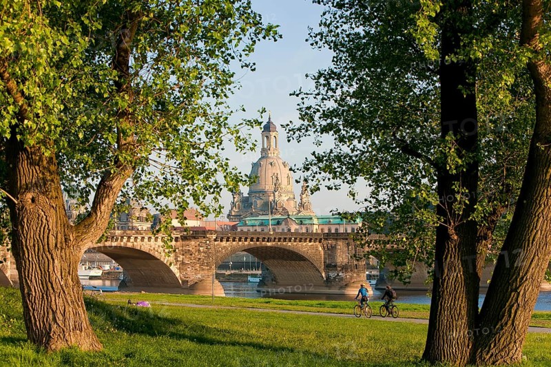 Dresden Elbe meadows in spring