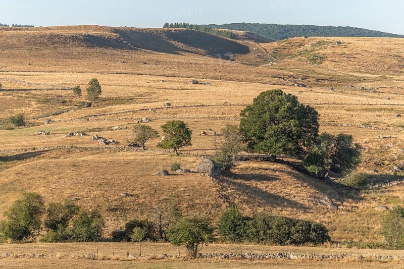 Landscape in Aubrac in summer, inspiring, infinite, enchanting, magical, peaceful, bewitching. Cevennes France