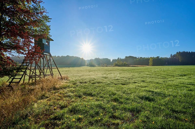Hunting pulpit, meadow landscape, forest, sky, sunrise, autumn, beeches, Odenwald, Baden-Württemberg, Germany, Europe