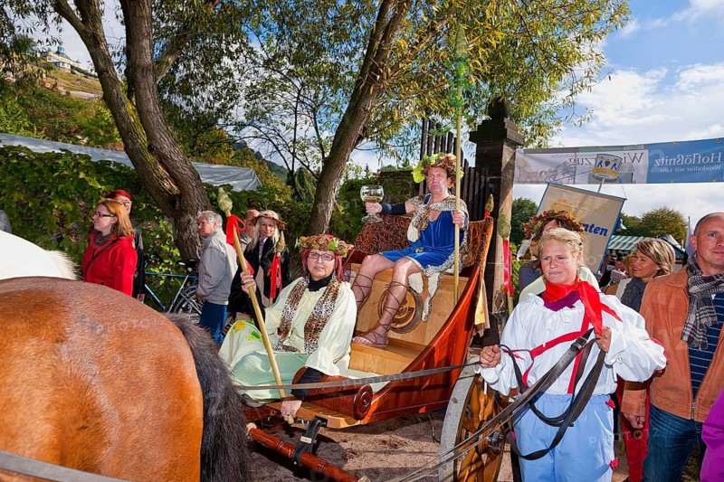 The Saxon Winegrowers' Procession 2012