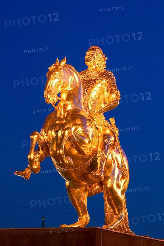 Golden Rider