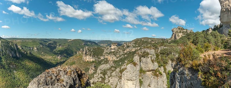 Landscape of a wild and preserved valley, canyon in the Cevennes national park. biosphere reserve by Unesco. Panorama.Gorges de la Jonte. Aveyron, France, Europe